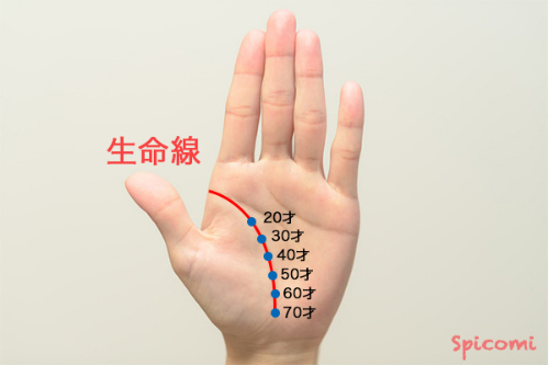 ［手相占い］生命線で変化の時期がわかる流年法