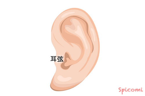 耳絃(ジゲン)にあるほくろの意味と運勢