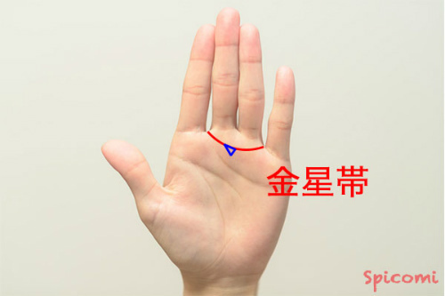 ［手相占い］金星帯（金星環）に三角紋が現れている
