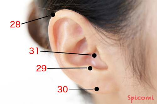 ［ほくろ占い］耳にあるほくろの意味と運勢