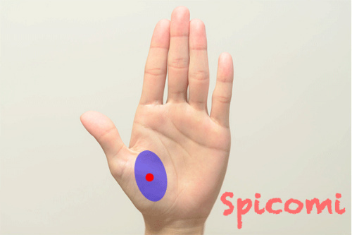 金星丘に赤い点がある