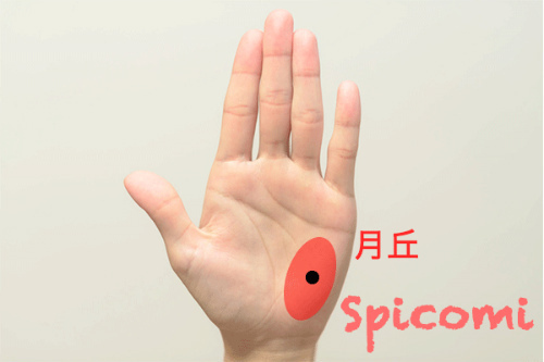 月丘にほくろがある［手相］