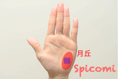 月丘にグリル（格子紋）がある［手相占い］