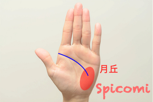 月丘に知能線が達している［手相占い］