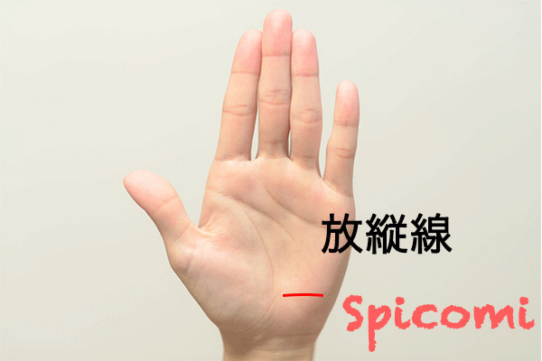 最悪の手相（放縦線）