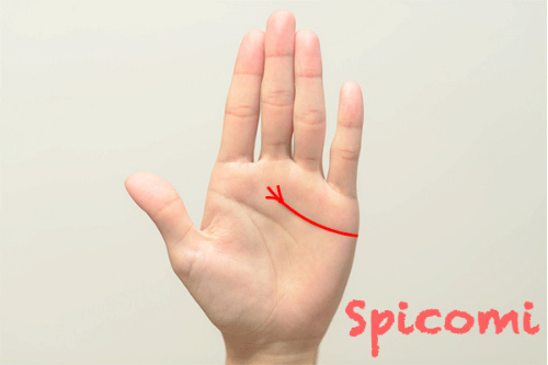 手相占いのあげまん線