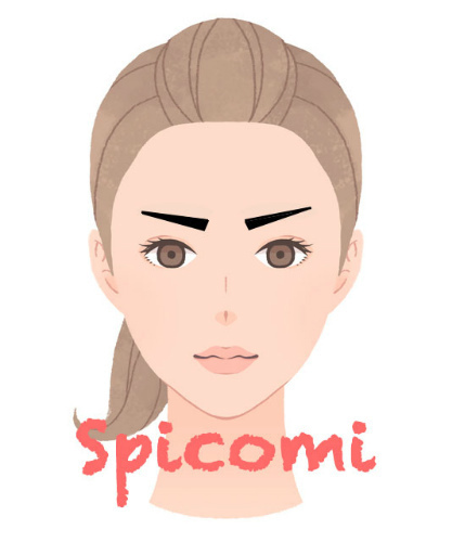 剣眉（直線的で眉尻が上がっている）の人