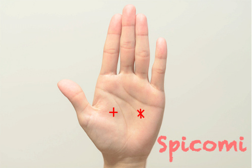 クロス（十字紋・バツ印）とスター線（星紋）の違いと見分け方