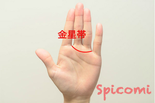 手相占いの金星帯（金星環）