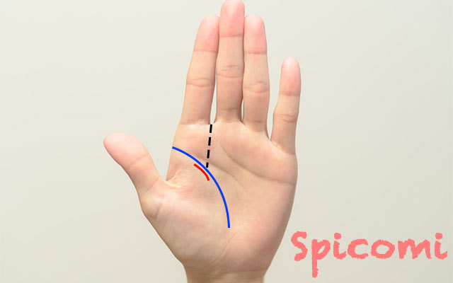 情愛線の復縁時期