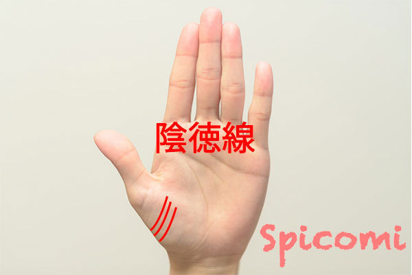 カリスマ線と陰徳線の違い