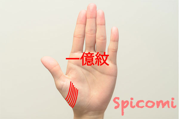 手相占いの一億紋