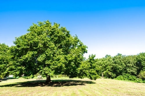 一白水星と三碧木星の相性