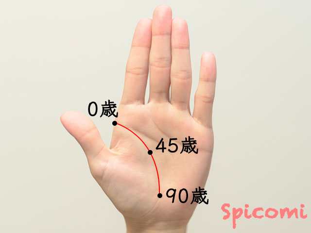 手相の流年法の見方