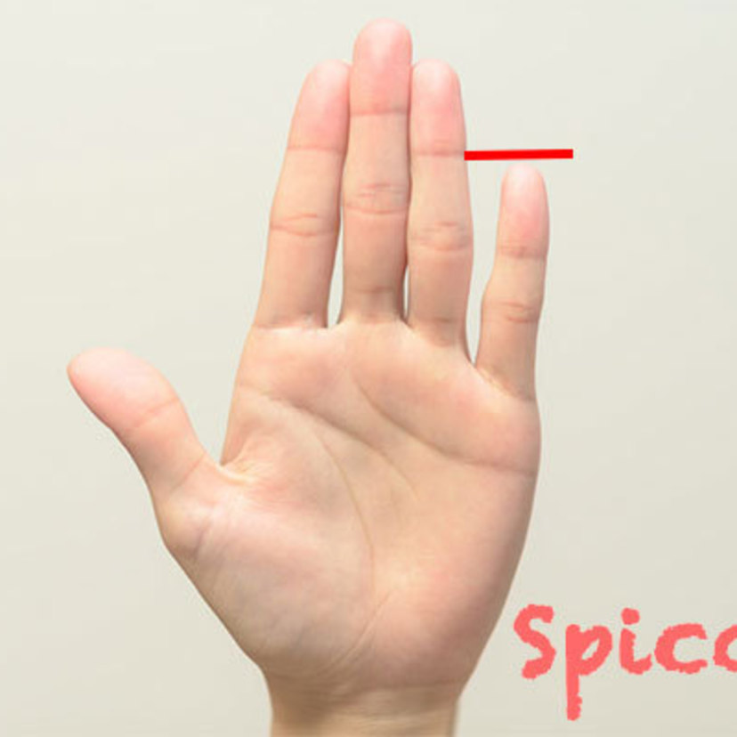 小指が短い人の性格的特徴10個 恋愛 霊感 子宝 金運 芸能人 Spicomi