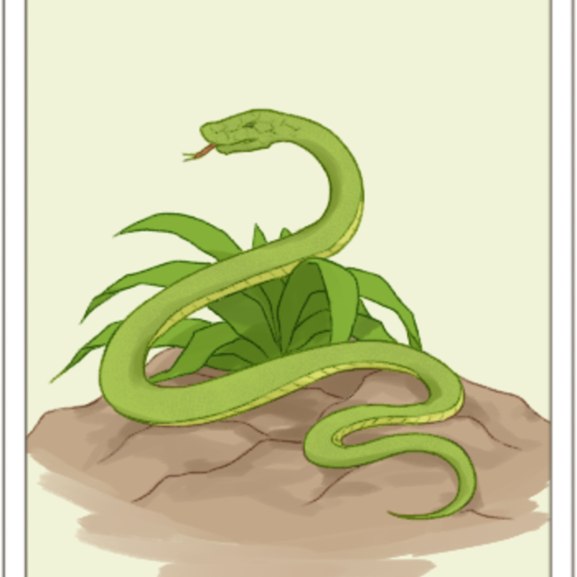 ルノルマンカードの蛇の意味とは 恋愛 仕事 組み合わせ Spicomi