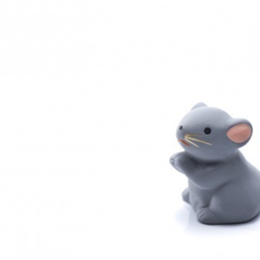 【夢占い】ネズミの夢の意味27選！ネズミに噛まれる・白いネズミ