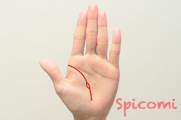 生命線に島があるときの意味6選 大きい 島だらけ 左手 右手 Spicomi