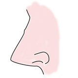 ローマ鼻とは？鼻の形の特徴・性格・芸能人