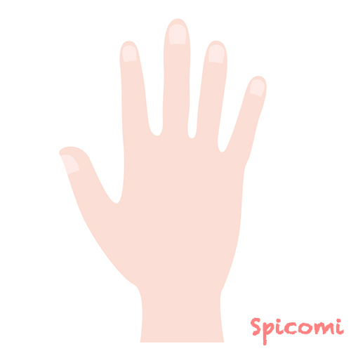 手の形4種類の意味は 性格診断占い 男性 女性 Spicomi