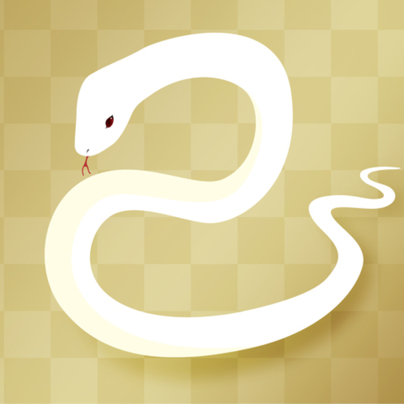 【夢占い】白蛇の夢の意味！宝くじ・噛まれる・スピリチュアル