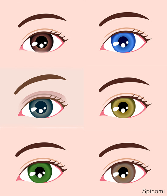 目の色の意味と性格の種類一覧 珍しい瞳の色 人相学 Spicomi