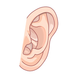 耳ニキビのスピリチュアル意味9個！耳の付け根・後ろ