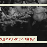 本当の運命の人の匂いは無臭？運命の人の匂いの特徴や出会う方法