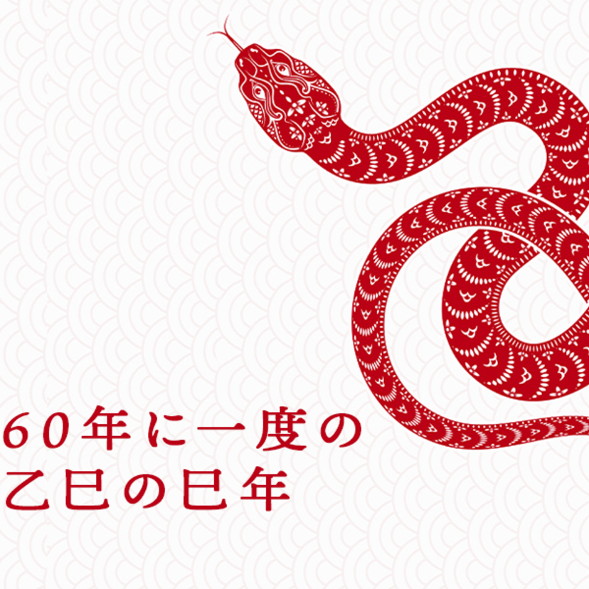 2025年は60年に一度の乙巳の巳年！どんな年になる？するといいことは？