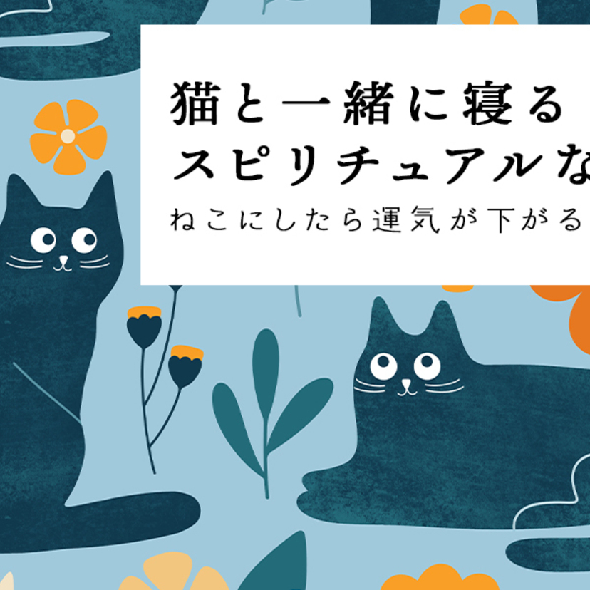 猫と一緒に寝るスピリチュアルな意味5選｜猫にしたら運気が下がることとは？