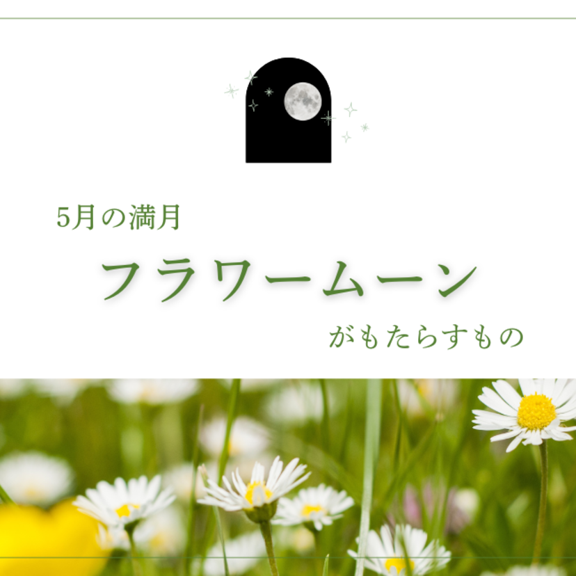 2025年5月13日は蠍座満月のフラワームーン。ウエサク満月も重なる特別な日が与える影響とは？