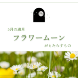 2025年5月13日は蠍座満月のフラワームーン。ウエサク満月も重なる特別な日が与える影響とは？