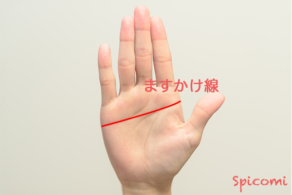 手相占い ますかけ線の意味と種類14パターン 右手左手で意味が違う Spicomi