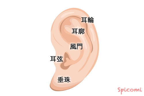耳のほくろの意味を位置別解説 右耳 左耳 耳たぶ ほくろ占い Spicomi
