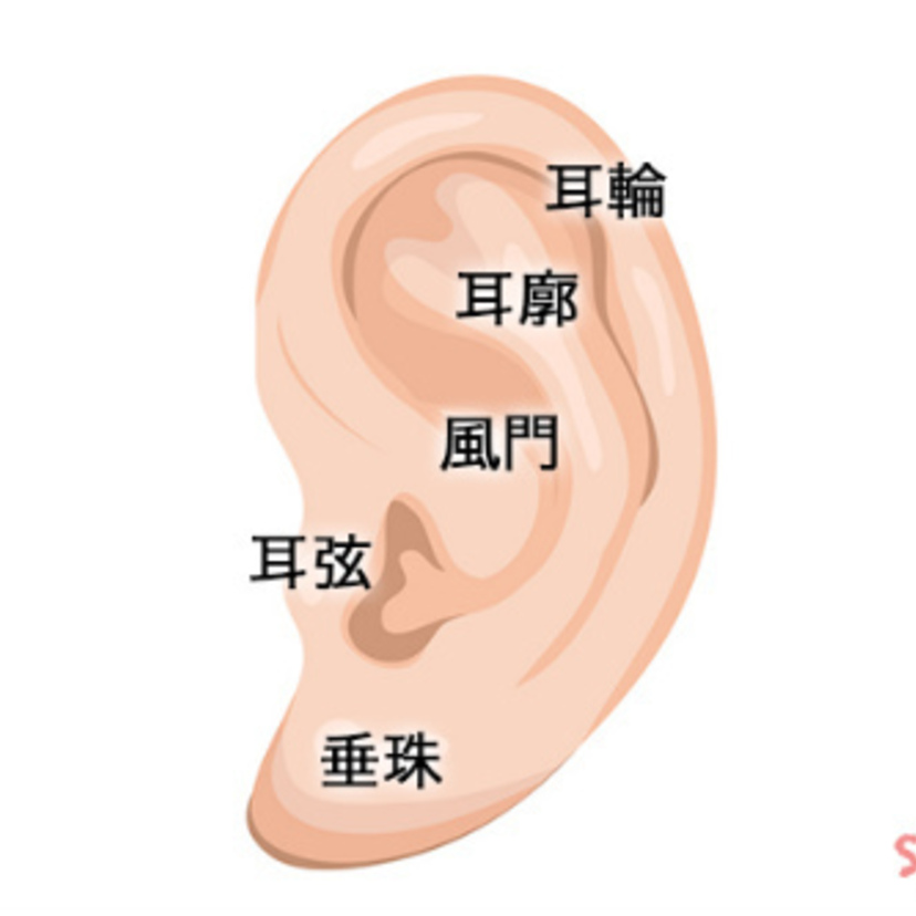 耳のほくろ占いの意味を位置別解説！右耳・左耳・耳たぶ