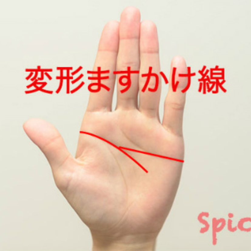 変形ますかけ線の意味と種類11個 両手 神秘十字 二重感情線 離れ型 Spicomi