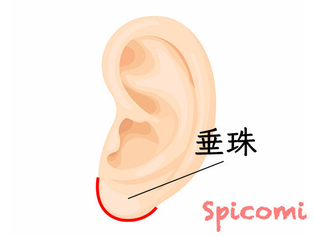 福耳とはどんな形？耳の大きさや厚さの基準は？