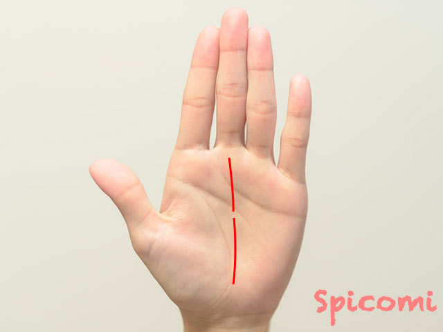 手相で運命線の意味とは 右手左手 年齢 斜め フィッシュ Spicomi