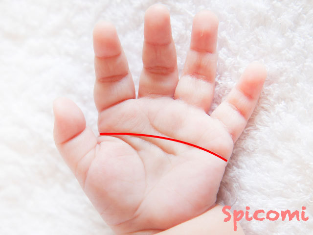 赤ちゃんの手相の意味と見方 右手左手 変わる くっきり Spicomi