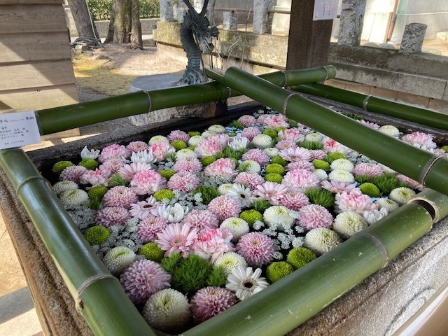 上野総社神社の花手水