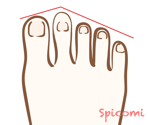足 の 指 親指 より 人差し指 が 長い