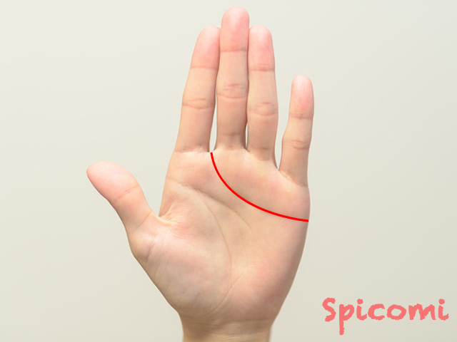 1. 感情線が人差し指と中指の間まで伸びる