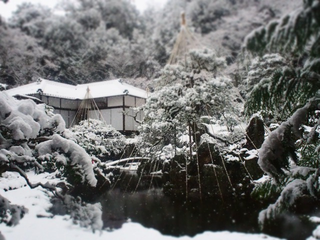 雪の青岸寺庭園