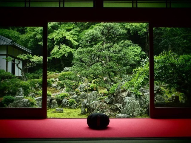 青岸寺の窓から見える庭