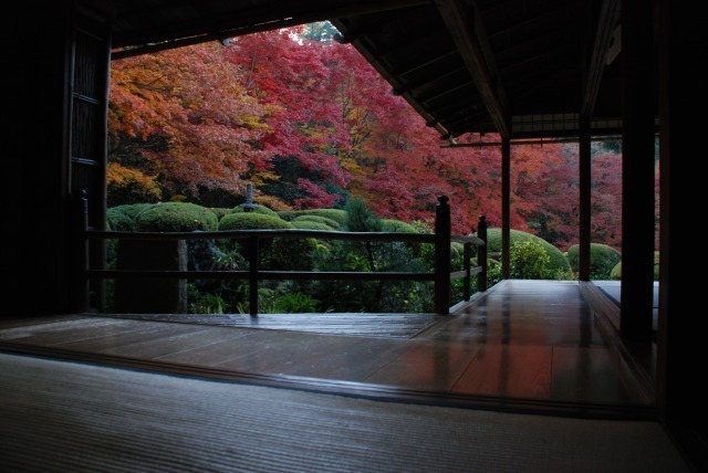 詩仙堂丈山寺の秋の庭