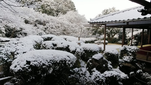 詩仙堂丈山寺の雪の庭