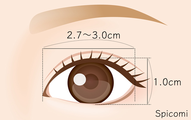 目が大きいの基準は？平均サイズは？