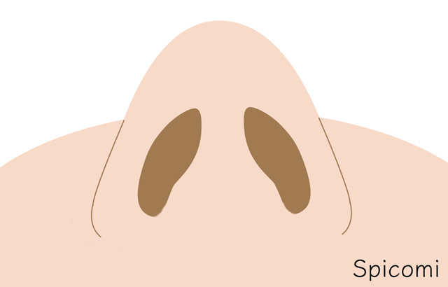 鼻の穴の形の理想は三角？