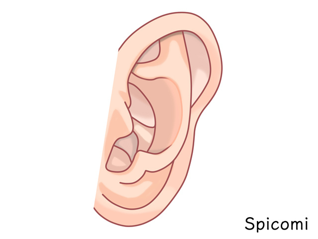 耳のニキビ占いのスピリチュアルな意味とは？