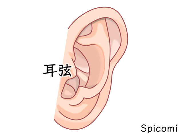 耳の付け根（耳弦）のニキビ占い